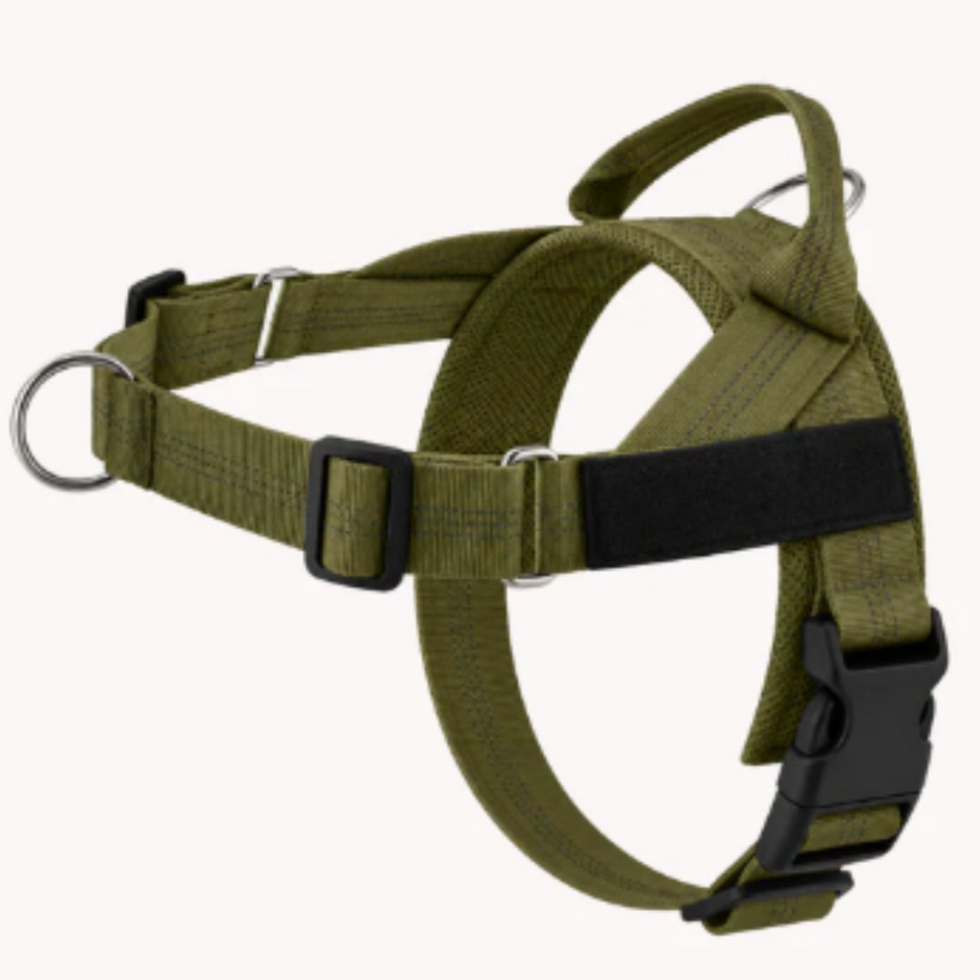 Harnais pour chiens