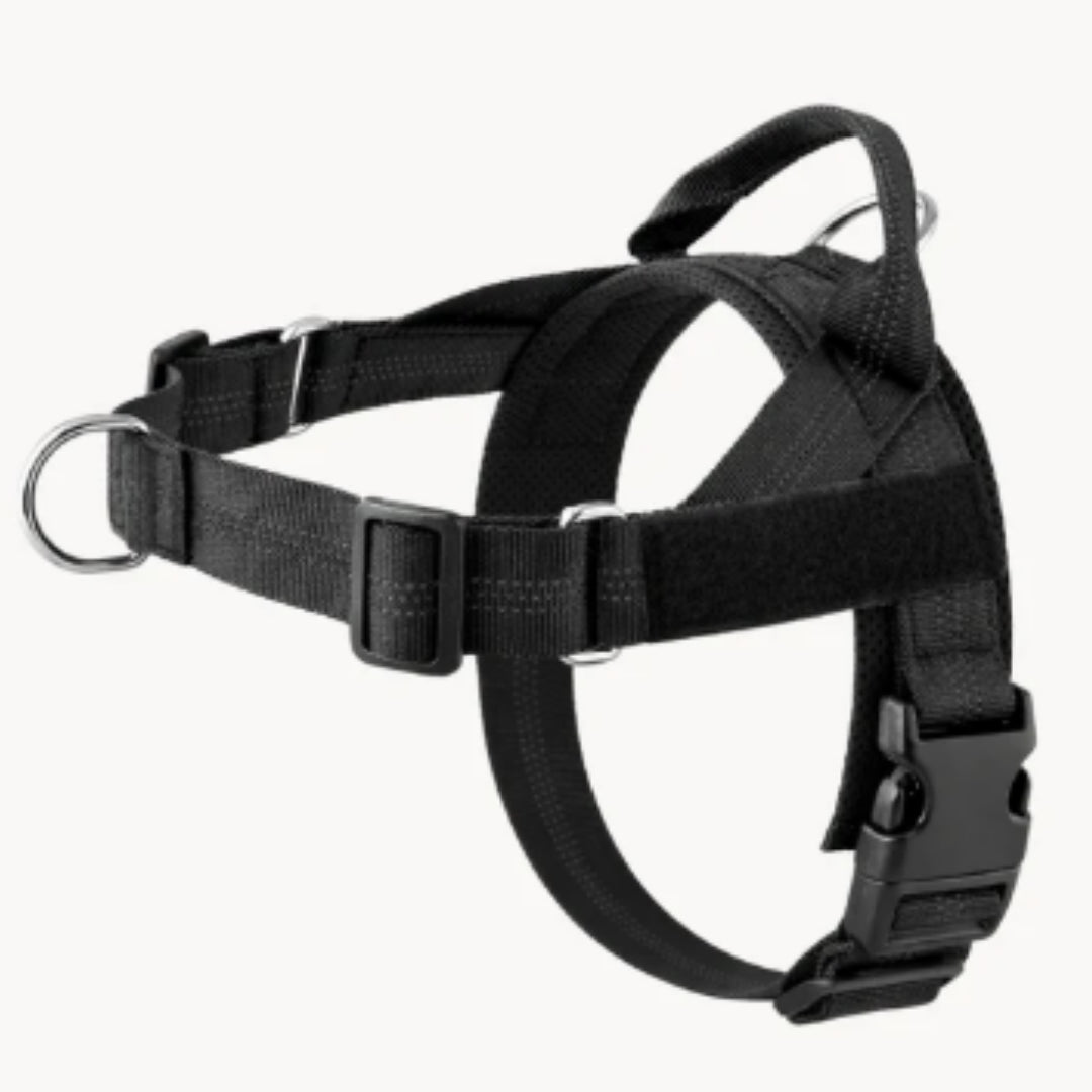 Harnais pour chiens