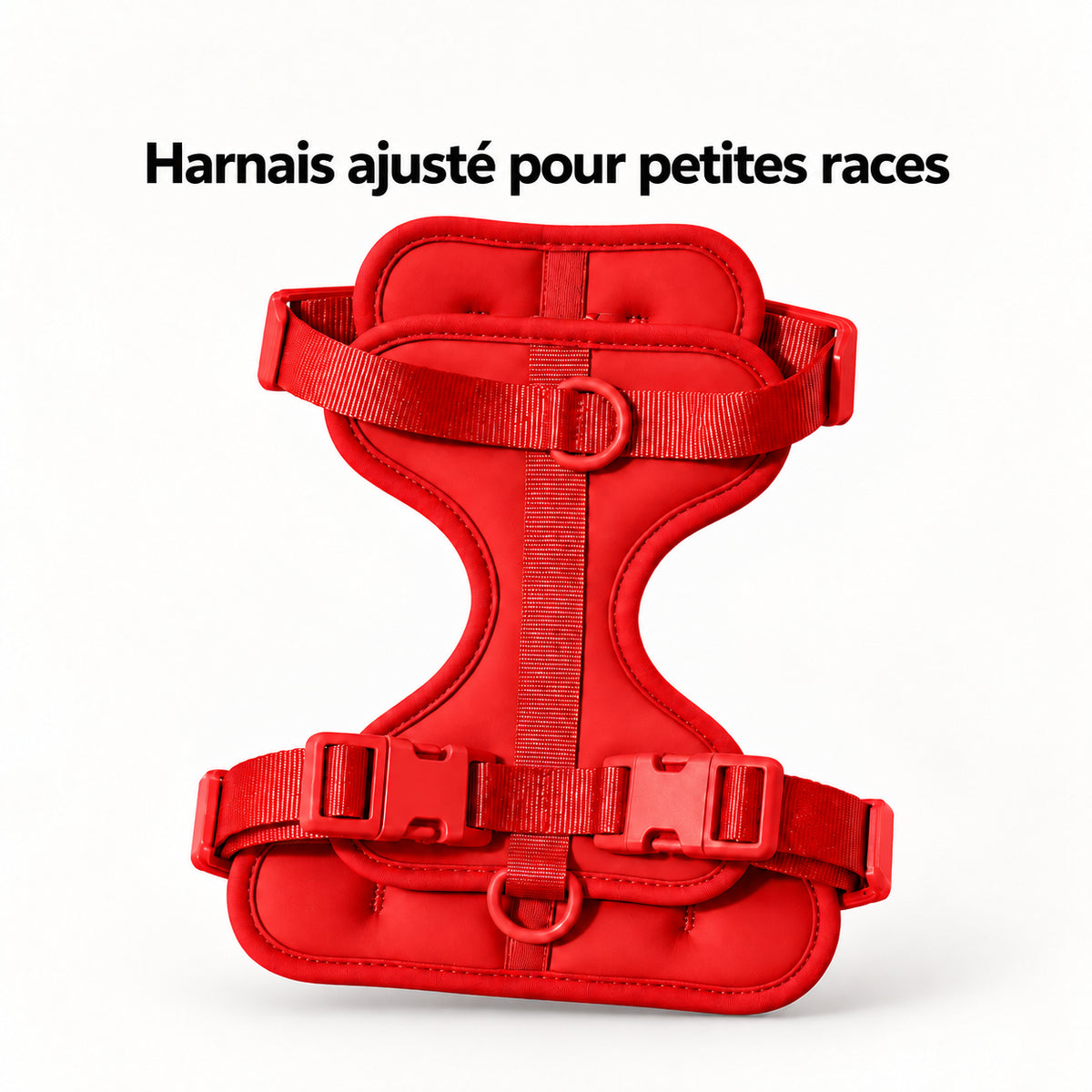 Harnais pour chiens