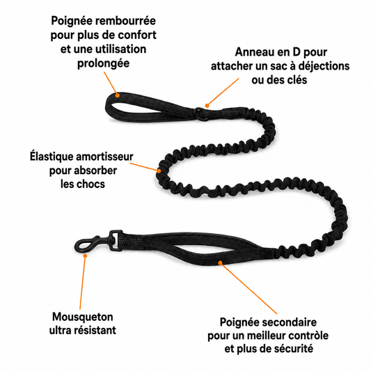 Laisse élastique assortie