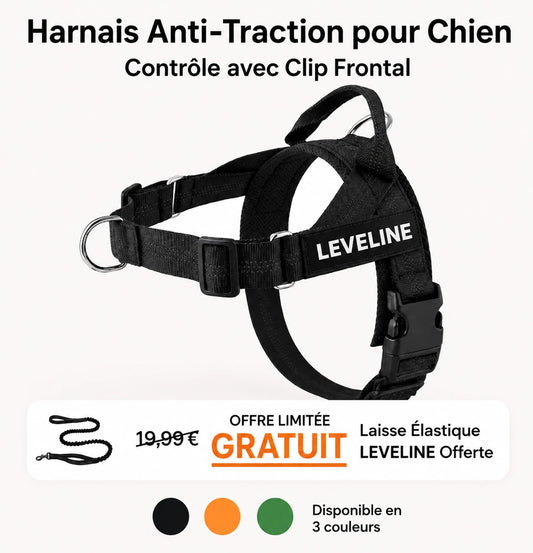 Harnais pour chiens
