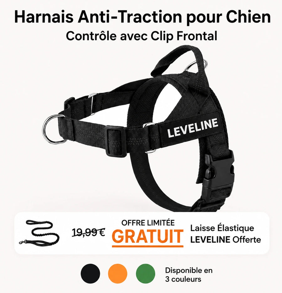 Harnais pour chiens