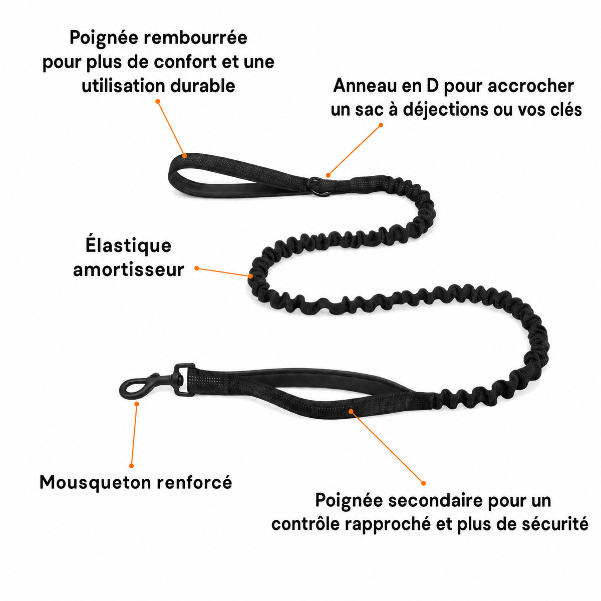 Harnais pour chiens