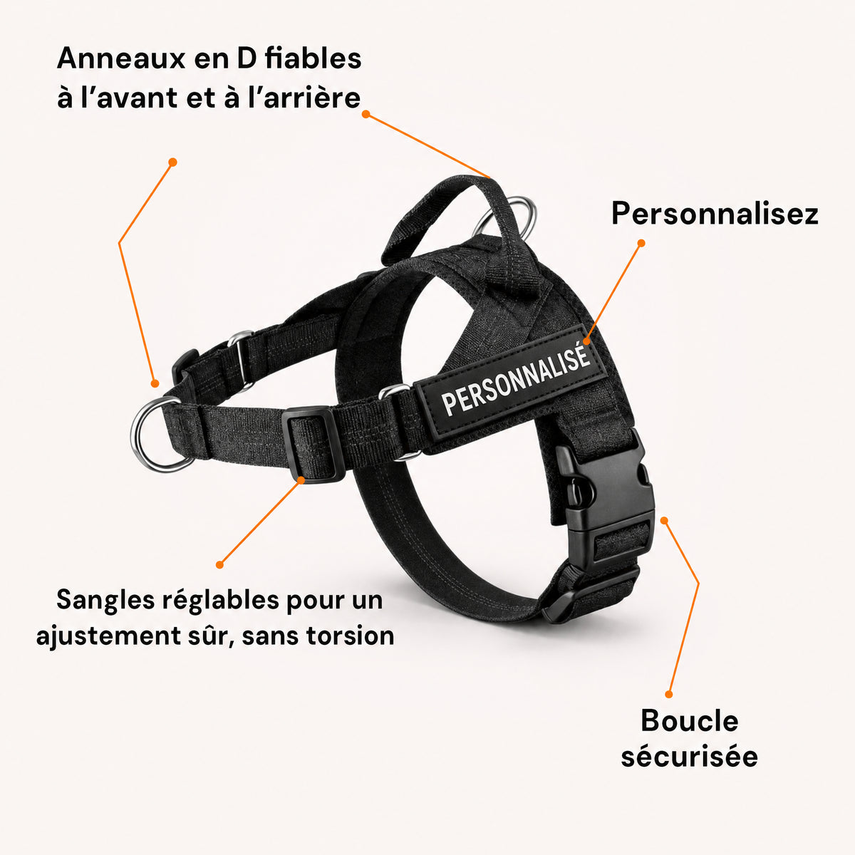 Harnais pour chiens